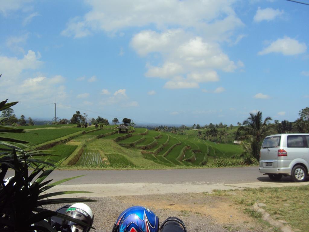 Apartamento Teras Subak Jatiluwih Exterior foto